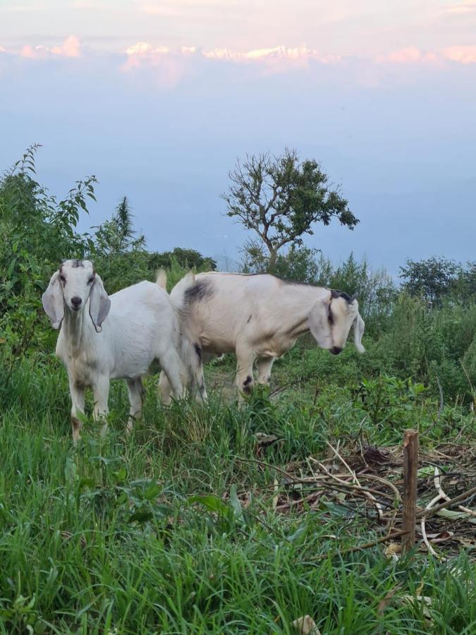 Nagarkot Trekkers Inn Exteriér fotografie
